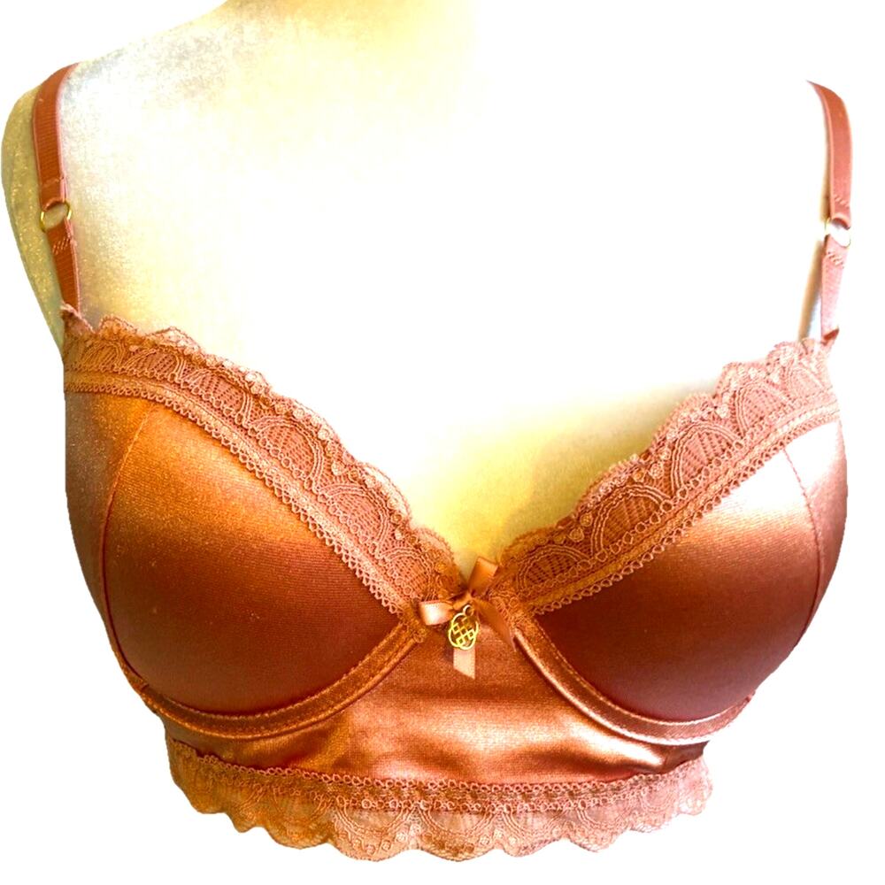 Daisy Fuentes Women's Bra 34C Push Up Underwire Lace Blush Pink Sexy Corquette